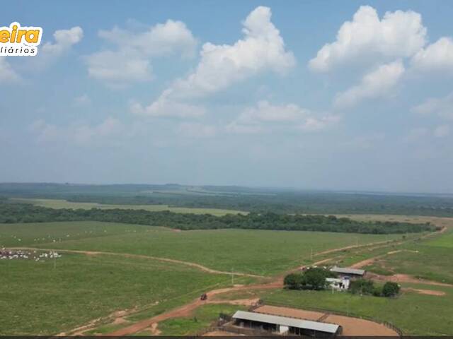 Fazenda para Venda em Nova Mutum - 4