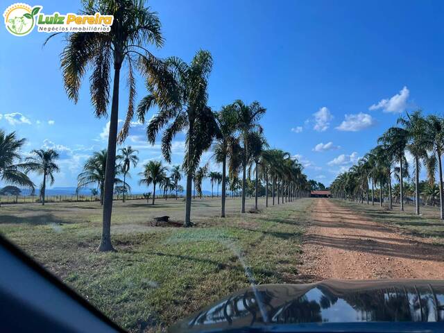 #2841 - Fazenda para Venda em Serranópolis - GO - 3