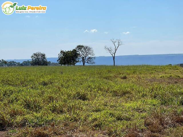 #2841 - Fazenda para Venda em Serranópolis - GO - 2