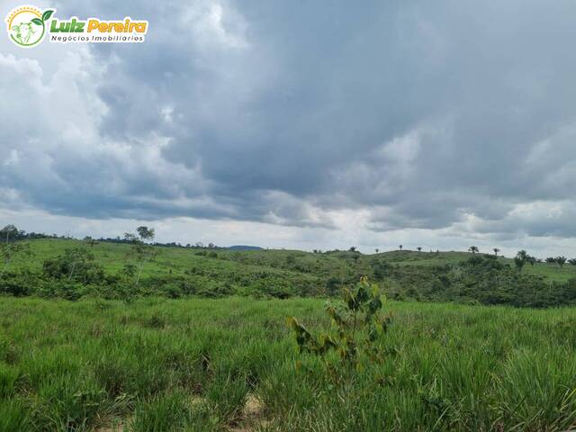Fazenda para Venda em Jacundá - 5