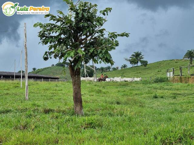 #2843 - Fazenda para Venda em Jacundá - PA - 2