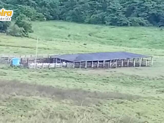 Fazenda para Venda em Jacundá - 4