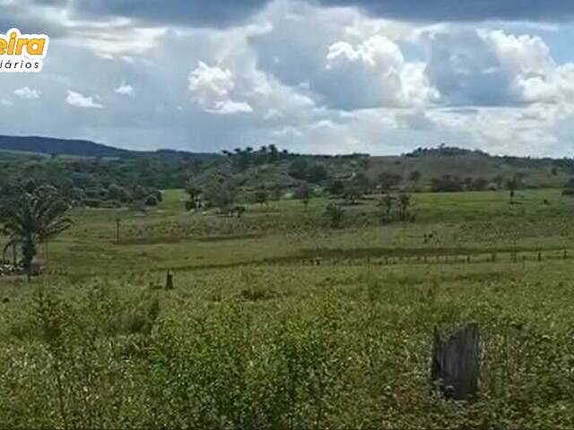 #2843 - Fazenda para Venda em Jacundá - PA - 1