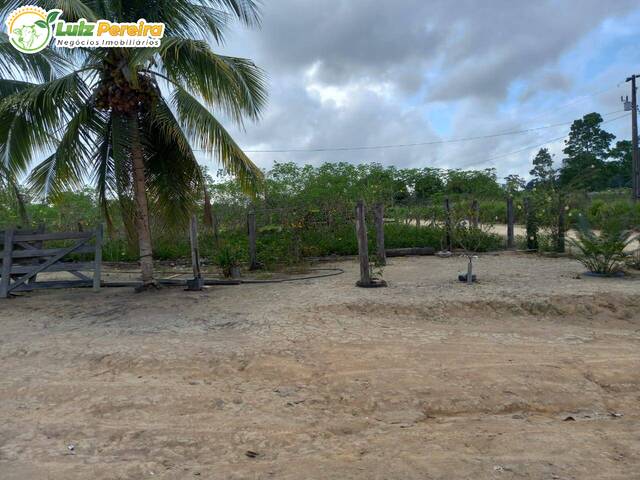 Fazenda para Venda em Brasil Novo - 4
