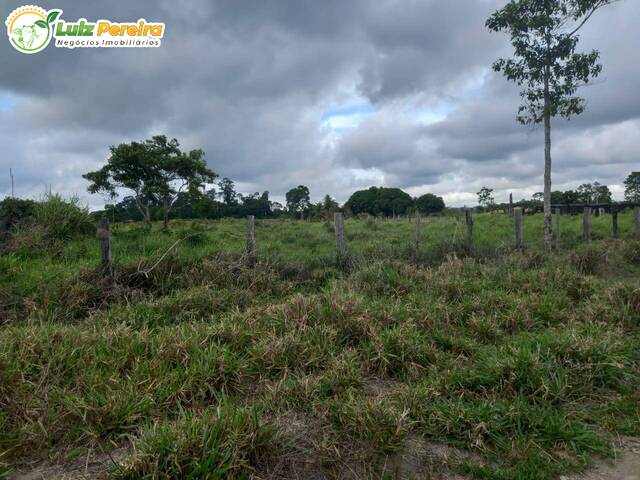 #2844 - Fazenda para Venda em Brasil Novo - PA