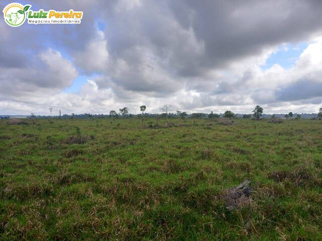 #2844 - Fazenda para Venda em Brasil Novo - PA - 2