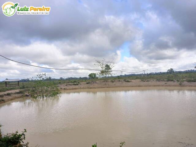 #2844 - Fazenda para Venda em Brasil Novo - PA