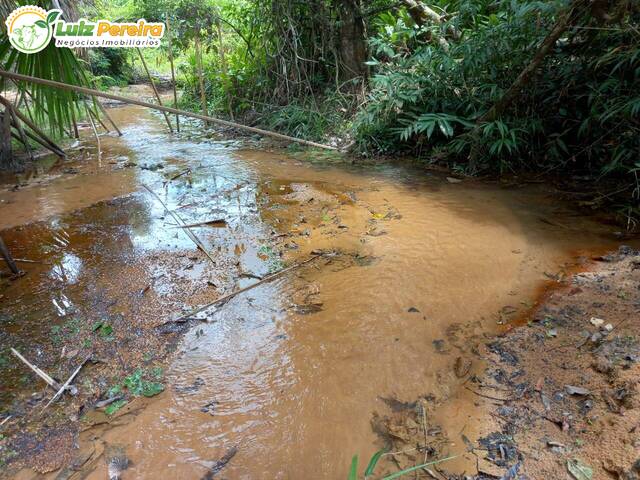 Fazenda para Venda em Brasil Novo - 5