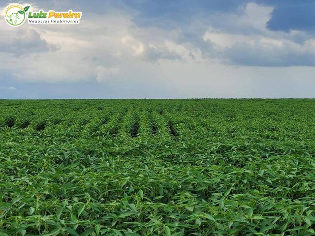 #2845 - Fazenda para Venda em Feira Nova do Maranhão - MA