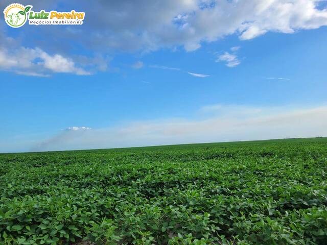 Fazenda para Venda em Feira Nova do Maranhão - 5