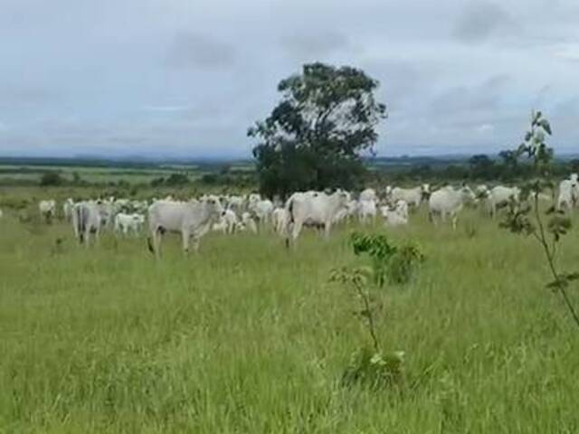 #2846 - Fazenda para Venda em Paranatinga - MT - 1