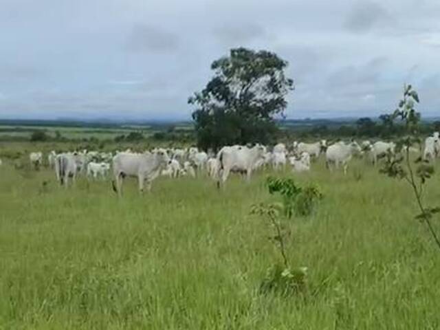 #2846 - Fazenda para Venda em Paranatinga - MT