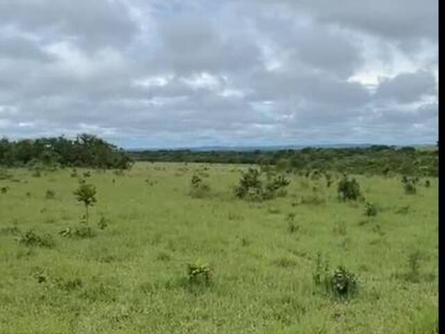 #2846 - Fazenda para Venda em Paranatinga - MT - 2