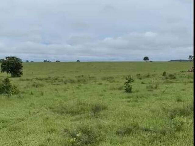 #2846 - Fazenda para Venda em Paranatinga - MT - 3