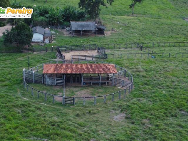 Fazenda para Venda em Cáceres - 4