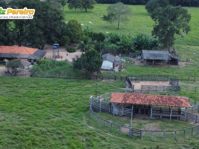 #2847 - Fazenda para Venda em Cáceres - MT - 1