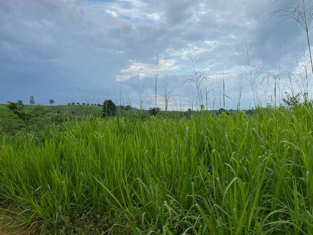 Fazenda para Venda em Itupiranga - 5