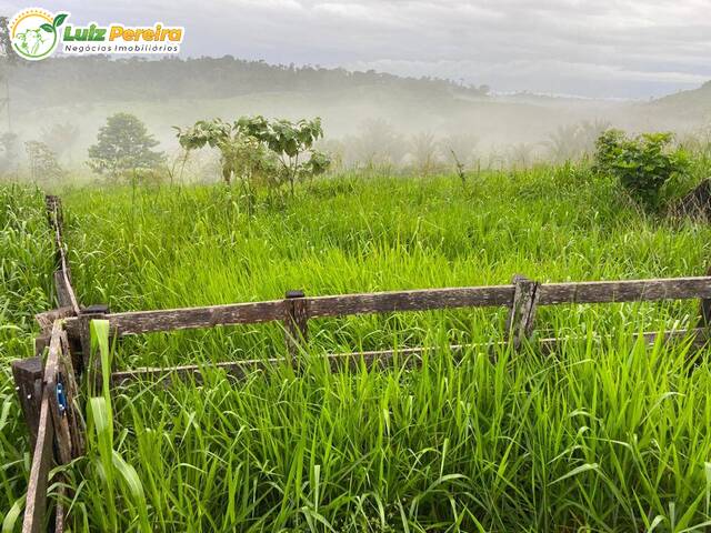 Fazenda para Venda em Itupiranga - 4