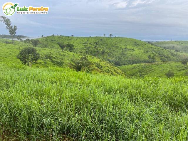 #2848 - Fazenda para Venda em Itupiranga - PA