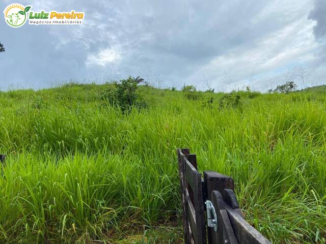Fazenda para Venda em Alvorada do Gurguéia - 5