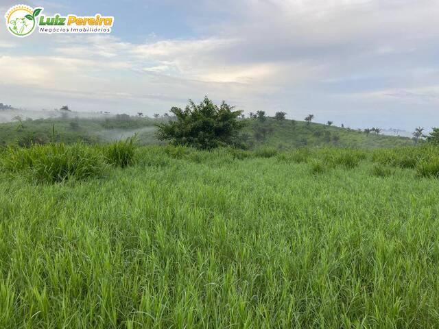 Fazenda para Venda em Alvorada do Gurguéia - 4
