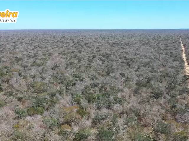 Venda em Zona rural - Alvorada do Gurguéia