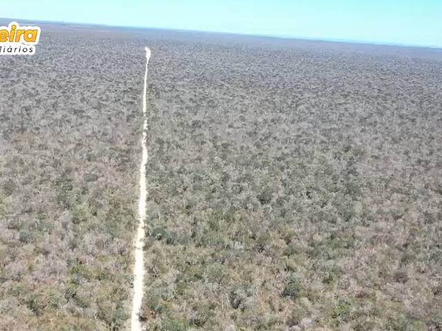 #2849 - Fazenda para Venda em Alvorada do Gurguéia - PI - 2