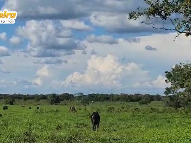 #2850 - Fazenda para Venda em Peixe - TO - 2