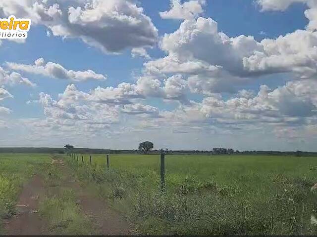 Fazenda para Venda em Peixe - 4