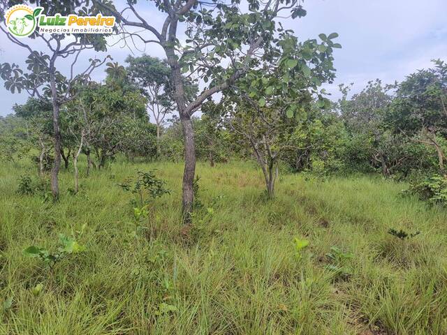 #2852 - Fazenda para Venda em Pedro Afonso - TO - 1