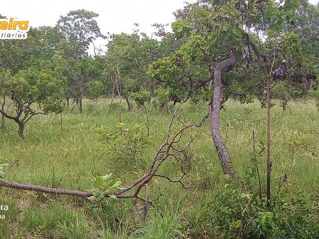 #2853 - Fazenda para Venda em Fernando Falcão - MA