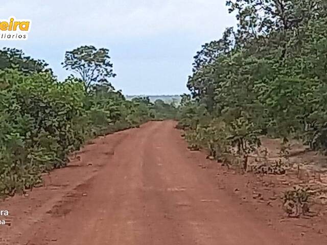 #2853 - Fazenda para Venda em Fernando Falcão - MA - 2