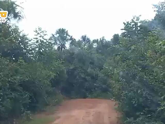 Fazenda para Venda em Fernando Falcão - 4