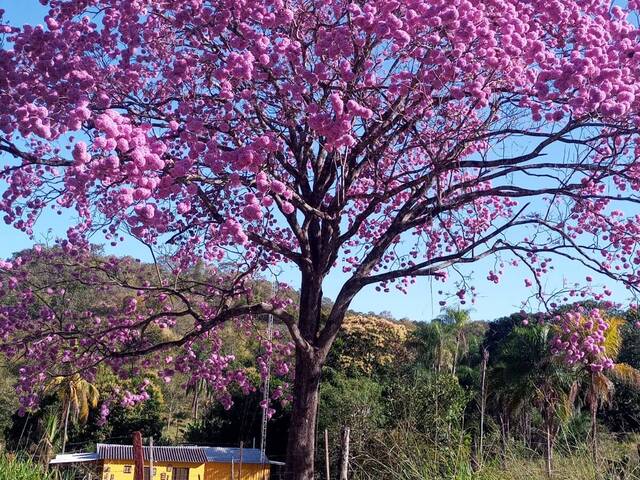 Venda em  - Camapuã