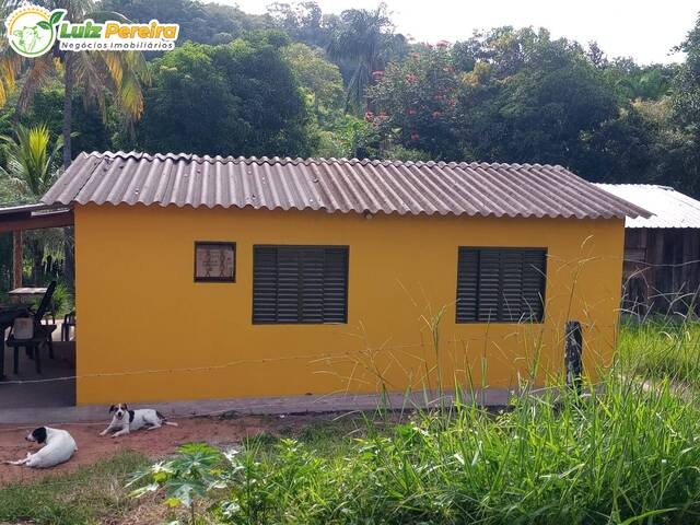 Fazenda para Venda em Camapuã - 4