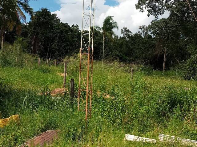 Fazenda para Venda em Camapuã - 5