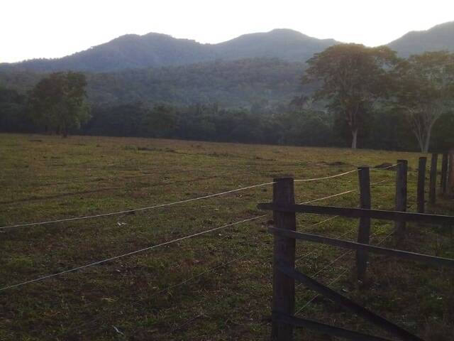 Chácara para Venda em Colinas do Sul - 4