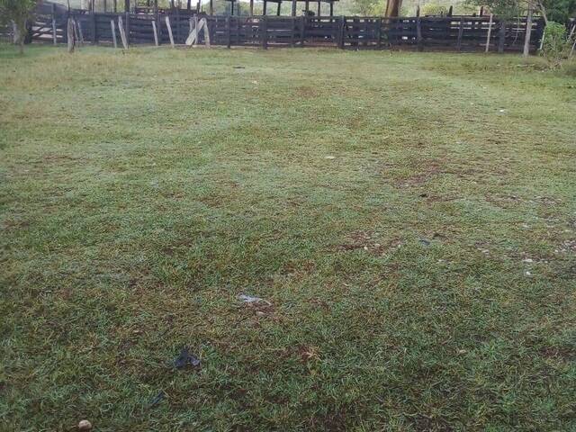 Chácara para Venda em Colinas do Sul - 5