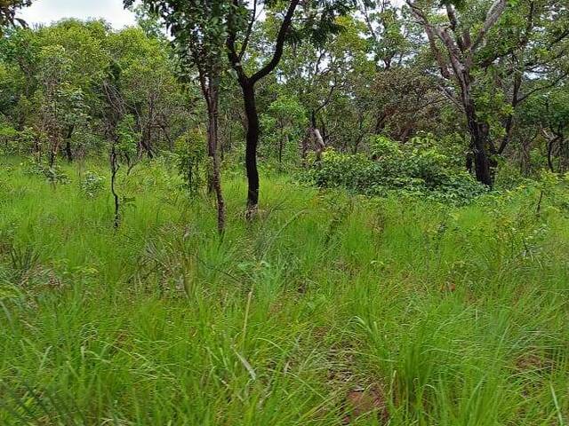 Fazenda para Venda em São Domingos do Azeitão - 4