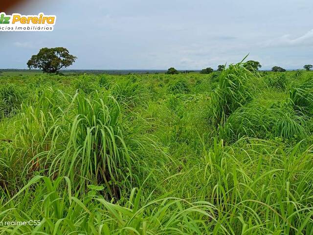 Fazenda para Venda em São Domingos do Azeitão - 5