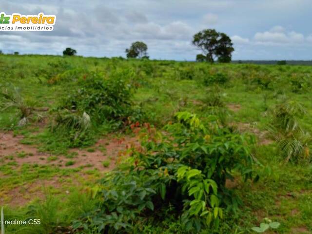 #2856 - Fazenda para Venda em São Domingos do Azeitão - MA