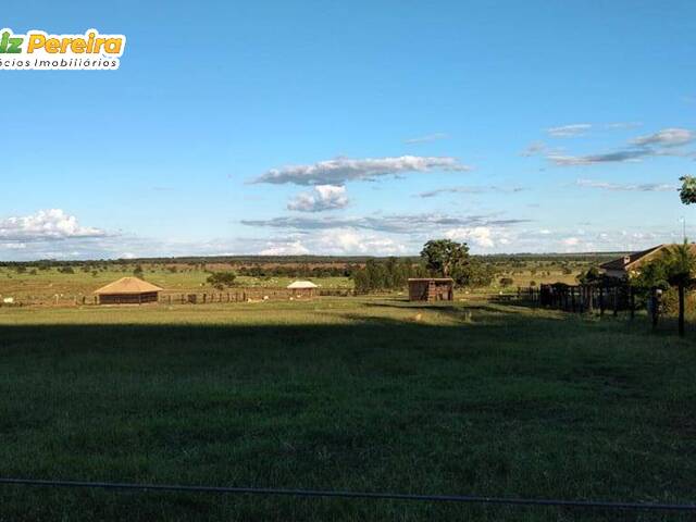 #2857 - Fazenda para Venda em Ribas do Rio Pardo - MS - 2