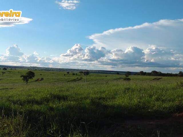 #2857 - Fazenda para Venda em Ribas do Rio Pardo - MS - 3