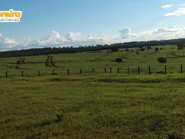 Fazenda para Venda em Ribas do Rio Pardo - 4