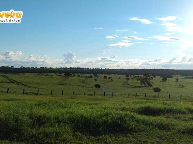 Fazenda para Venda em Ribas do Rio Pardo - 5