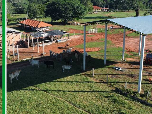 #2858 - Fazenda para Venda em Pedro Gomes - MS - 1