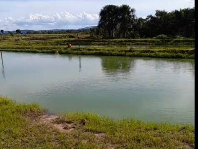 Venda em Zonha Rural - Estreito