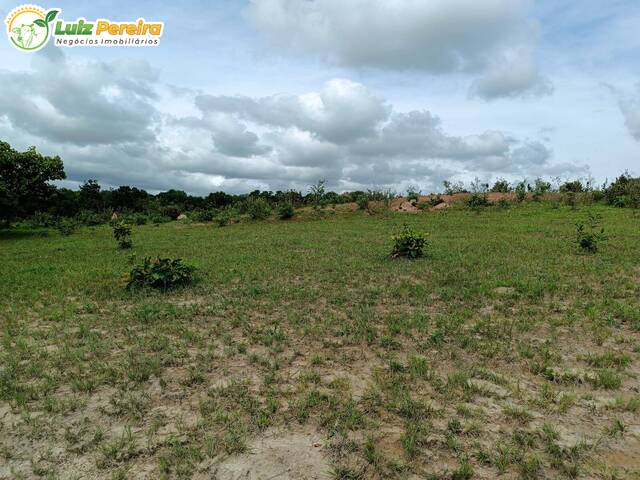 Chácara para Venda em Rio Negro - 5