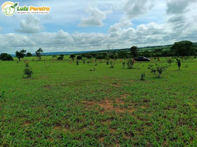 Chácara para Venda em Rio Negro - 4