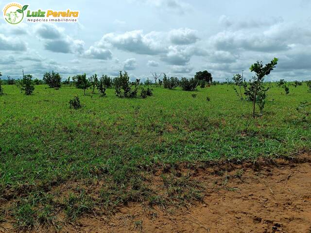 Venda em São Francisco - Rio Negro